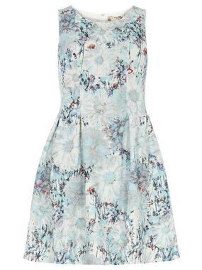 Luna- size large dress- princess seams, fit and flare mini